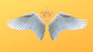 Read more about the article Shelley Sims